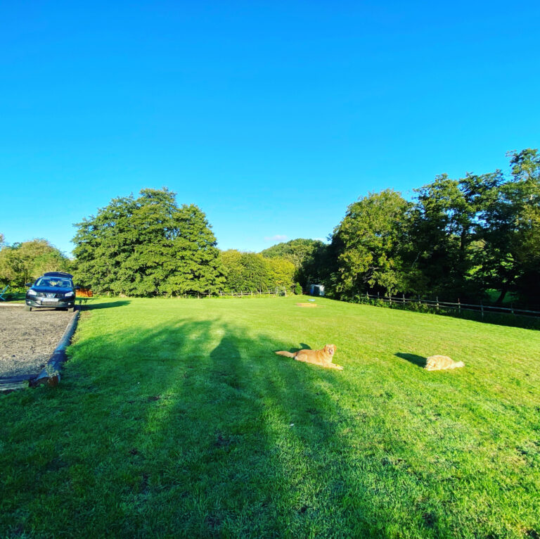 1758 d3d0639ed8deddd1d68cab5499d8b512 1 scaled 768x766