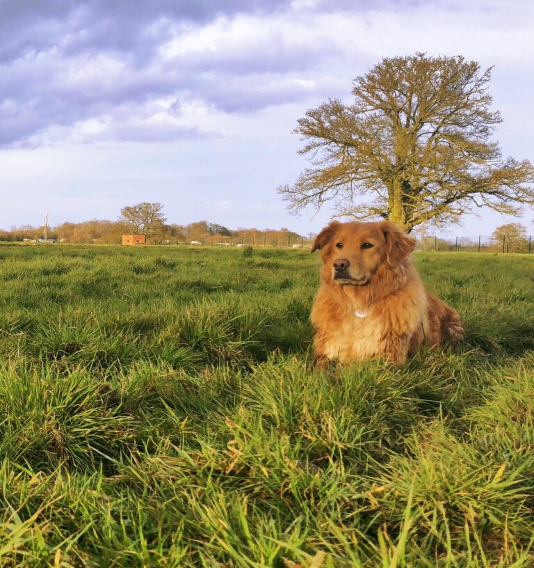 1759 7acd3dac89c5aa27967a8ccbd74eb5c0 1 768x816