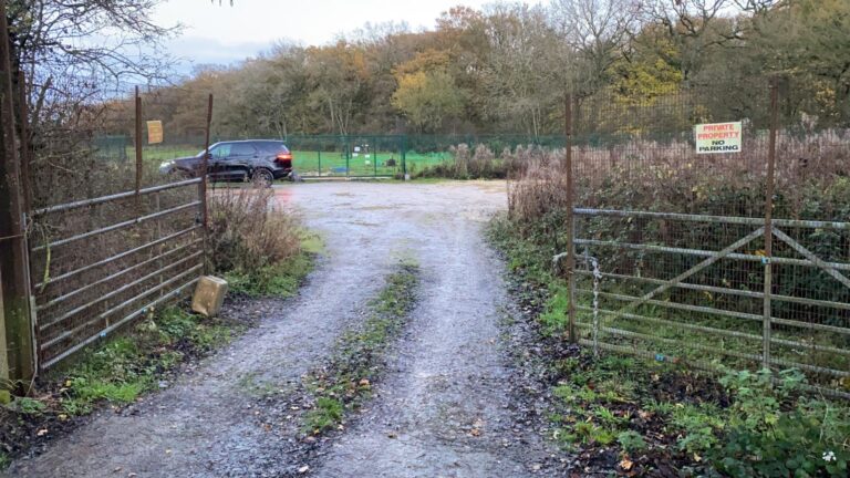 1759 8fc61d92e8286de24e1511e10e6fa73b 1 768x432