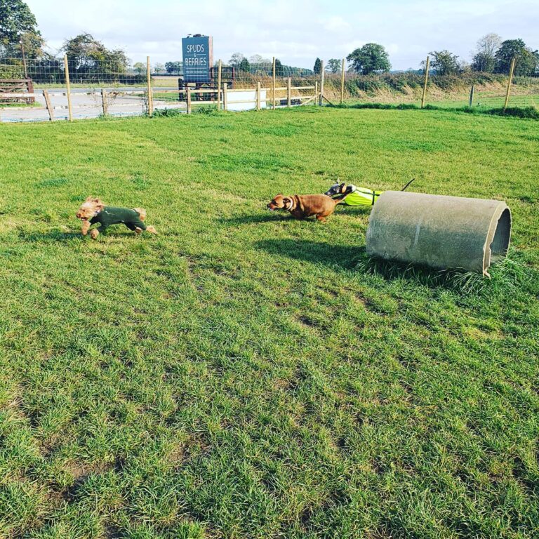 1760 ad34a6cd4a8ca747182ce4f0eddf06f8 1 768x768