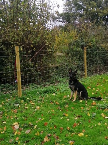 1761 75b101b3294f7edc7c38f25aeebc0ba2 1