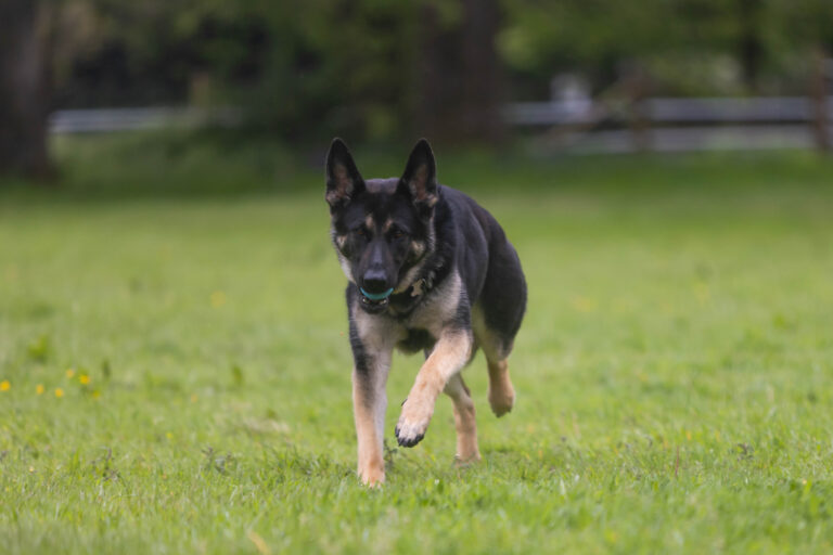 1761 9385592a5552f7cd23143529eabe9e0b 1 768x512