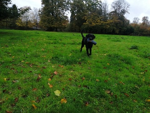 1761 b7f52e6faf3b33d44f7af9e6b8463a9d 1