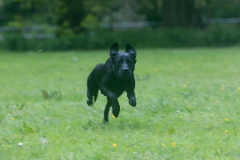 1761 f6a3c1bbd61bbf83caa617224a0c9d87 1 768x512