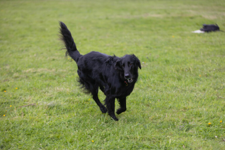 1761 fb8d2487d388adb5d241a01b1144ffa8 1 768x512