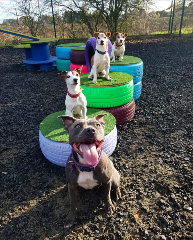 1763 0d555cb5537467d9d8dee3d2e163b3f1 1 768x952