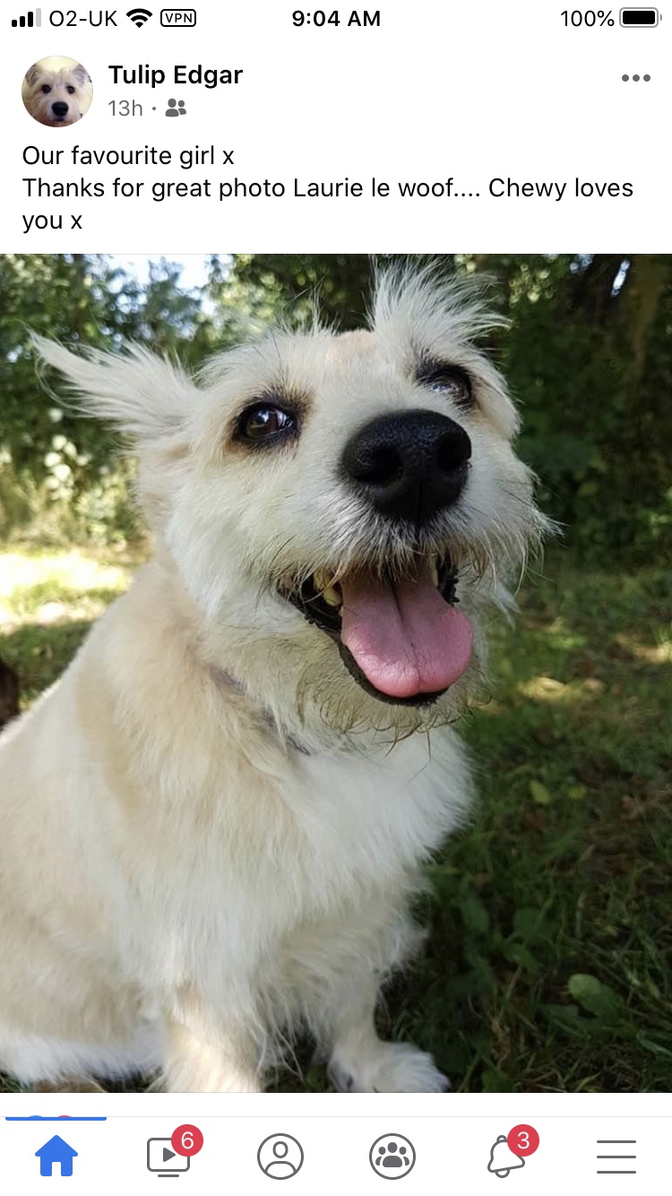 1765 27dfe63bfa4eafd50c20a549169e43ed 1