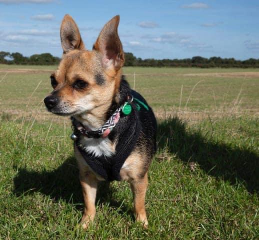 1765 7e15bf9c361b6105a0a8cb9f9778cace 1