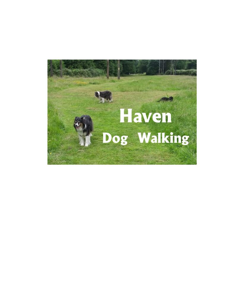 1765 899893140afcb95978887433dec2abbf 1 768x994