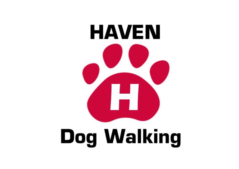 1765 a058418278bd70e18451de6c74498f40 1 768x543