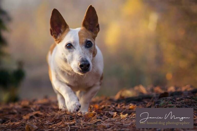 1765 f31c19af2a3b6aa9e36b2c437269e7ce 1 768x513