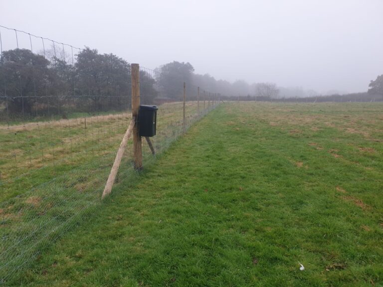 1766 977d434a987c5da0d0e45cef9d83e508 1 768x576