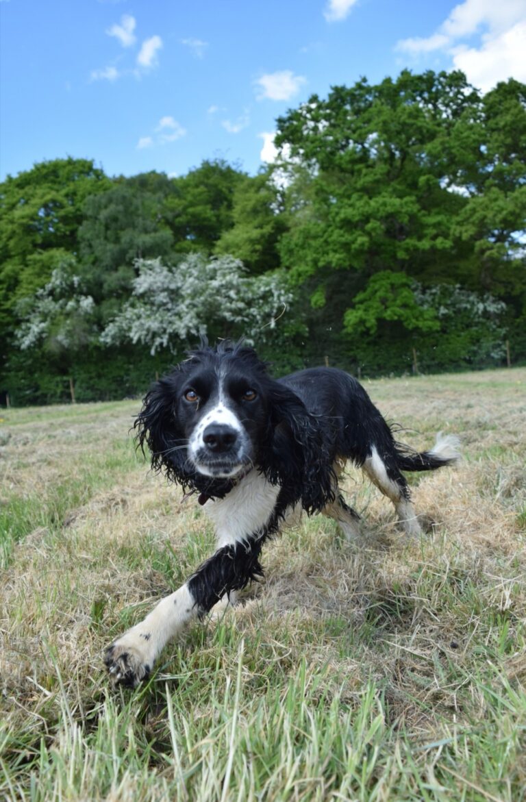 1766 9d2a074481c665c57c3c3d6c29caba57 1 768x1171