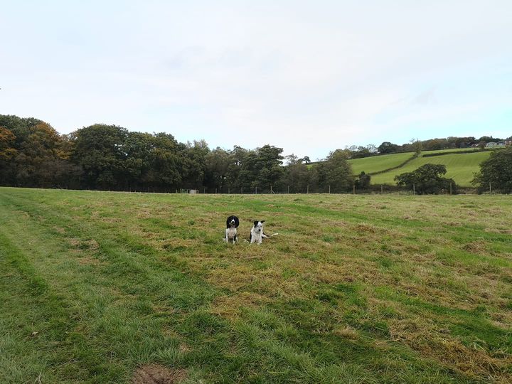 1766 c349a83cf47a2622a13d1611cfcf2e0d 1