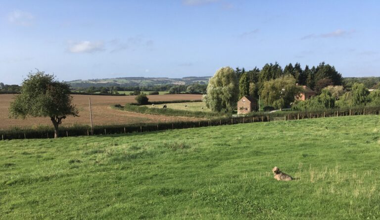 1770 3b771c20aade8191d53831476dd5951b 1 scaled 768x444