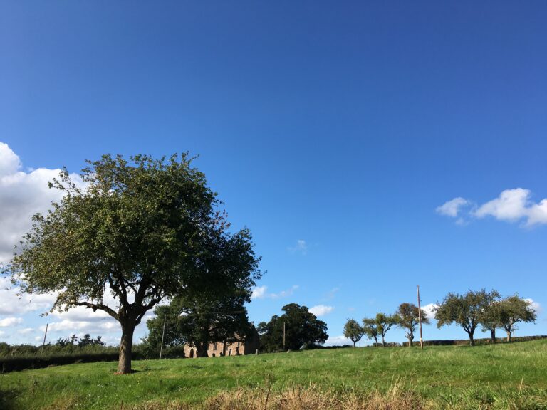 1770 9b1c3c9c9711f8eda19ce6a12750356c 1 768x576