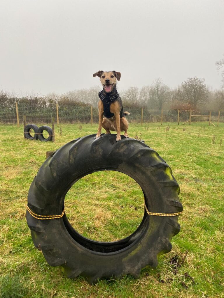 1771 32cfa7ada3c43942b358848d467ac2d0 1 768x1024