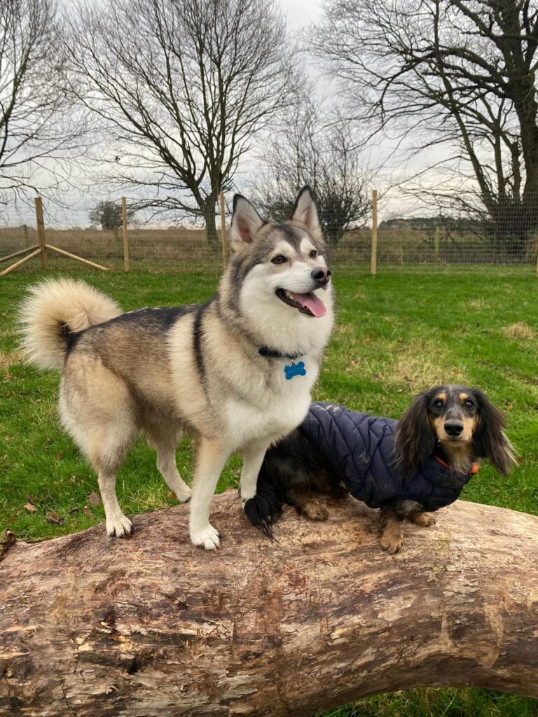 1771 3acd44cc887b682910f757a11cc671f3 1 768x1024