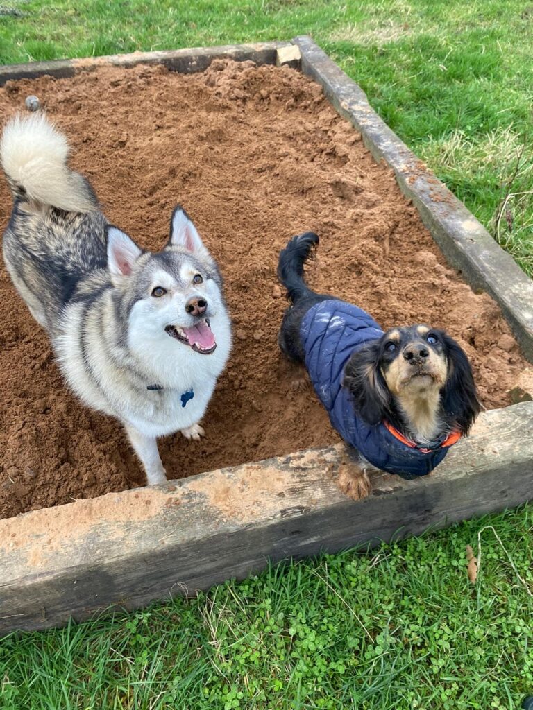 1771 6d19ae0b2b716f513006950f5023609d 1 768x1024