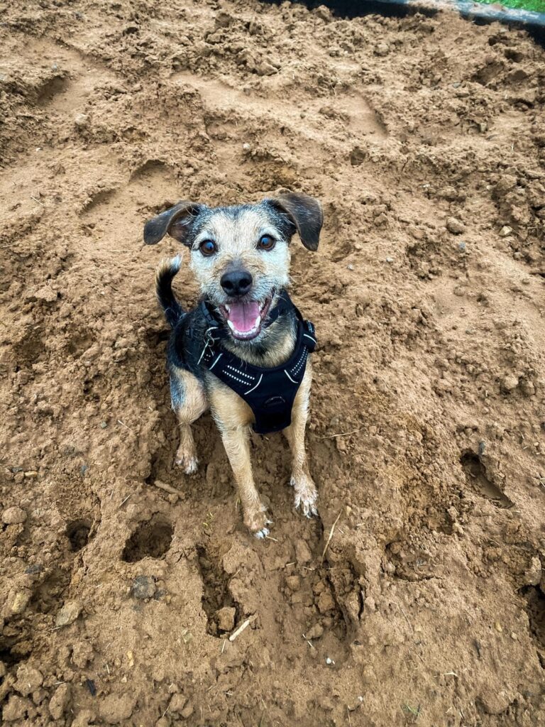 1771 a50a30a9516833bdc2c80d88e0958236 1 768x1024