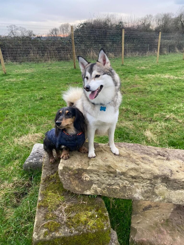 1771 ada008a1ac4d5166b62c928e85ab6d6d 1 768x1024