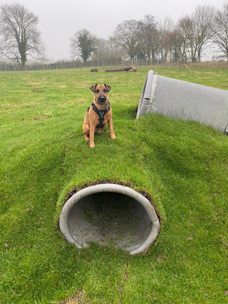 1771 f44ee8655ede5c2c87761c67e7fc4845 1 768x1024