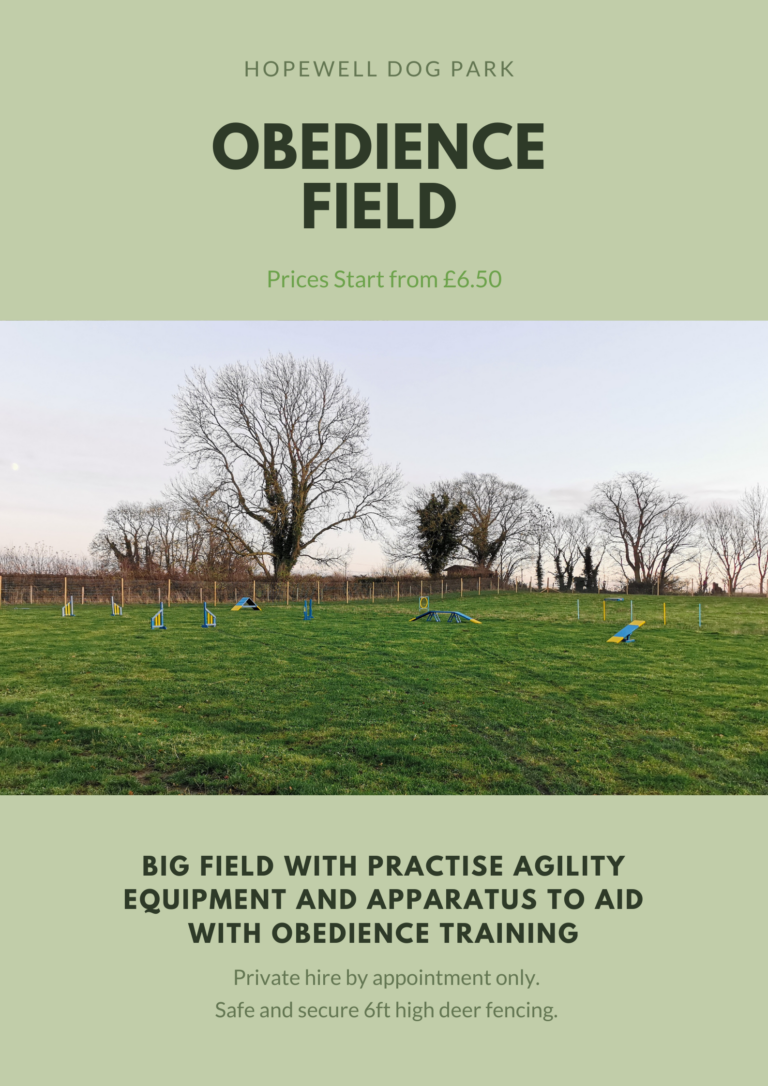 1772 5a2b6ccf3db36032cae4830eabc28b6f 1 768x1086