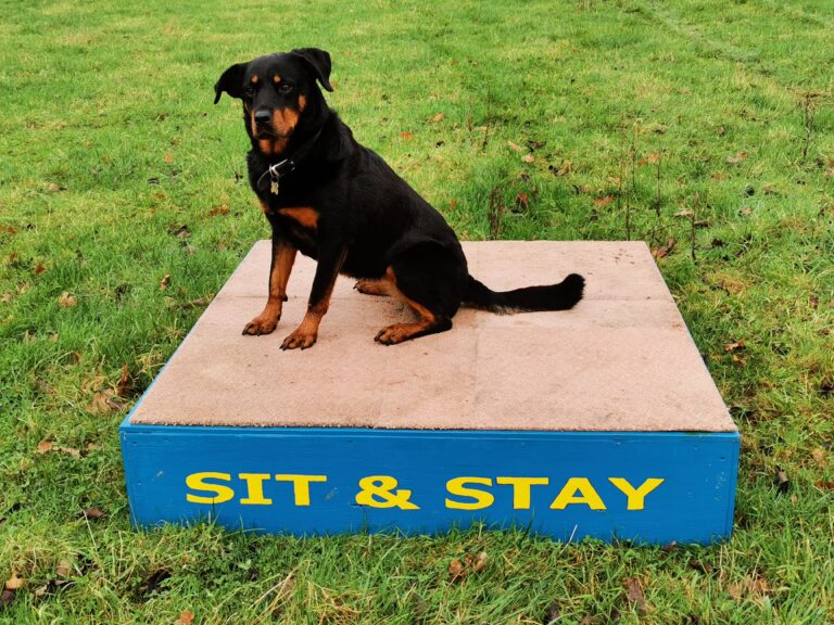 1772 753688f3f677a02bdff048f78445d918 1 768x576