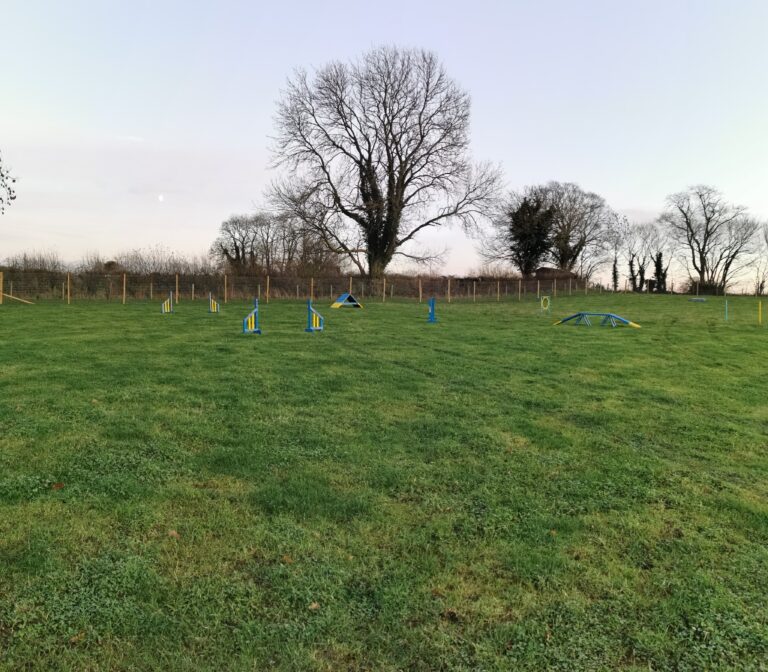 1772 d67a4dee0517061b1cc74f63d881590d 1 768x672