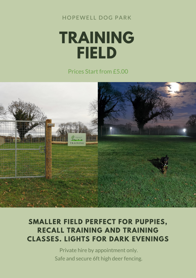 1773 1e2d4bd86d46b6ebefeca98df89f870e 1 768x1086