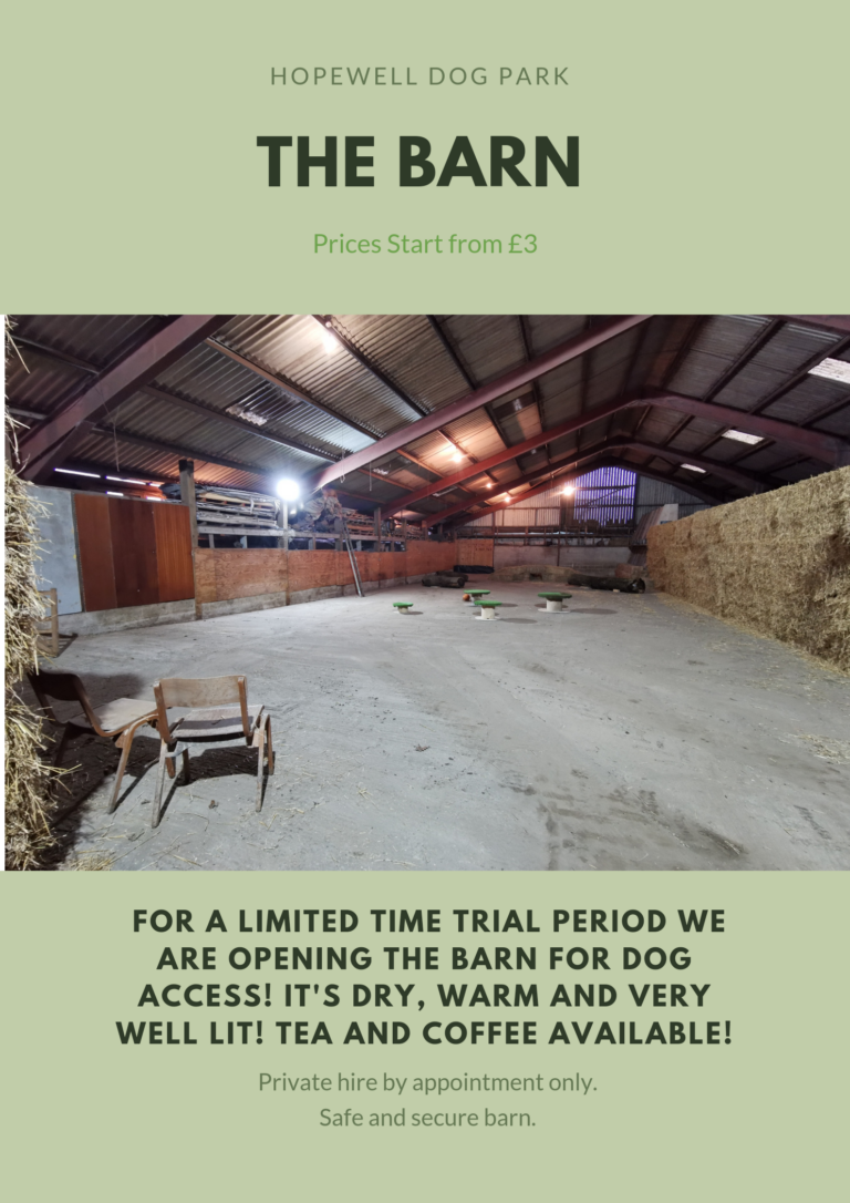 1774 1137ea6e8fb070f62ec5ee56e71f780e 1 768x1086