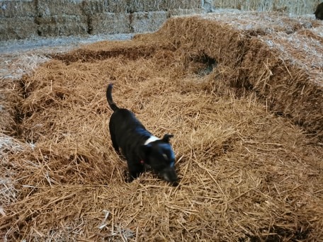 1774 50718f66fb42c5bbf5c75cf1352e4519 1