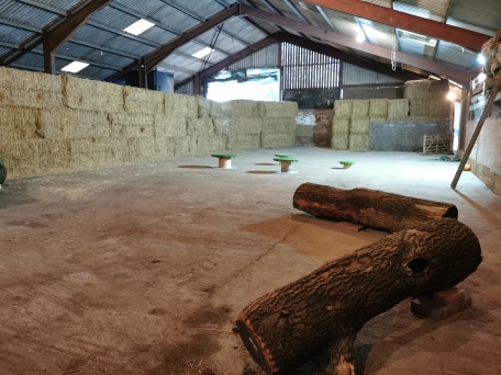 1774 a3b7dc233f59863fdee0cec5c4f2f2e7 1