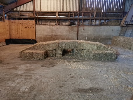 1774 da235c8170122e6ad5eb80071b765a2f 1