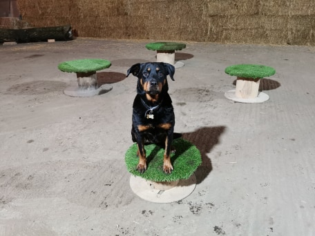 1774 f4c94e0363a840612f37d3f2ced9f384 1