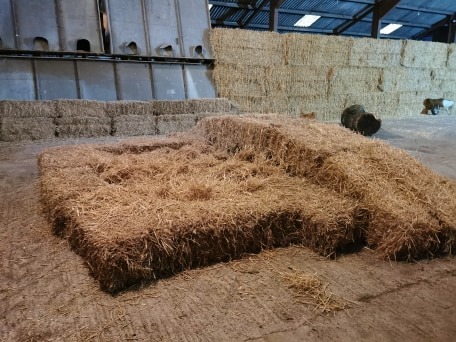 1774 ffad00b1c0688be7018a925649d3cf38 1