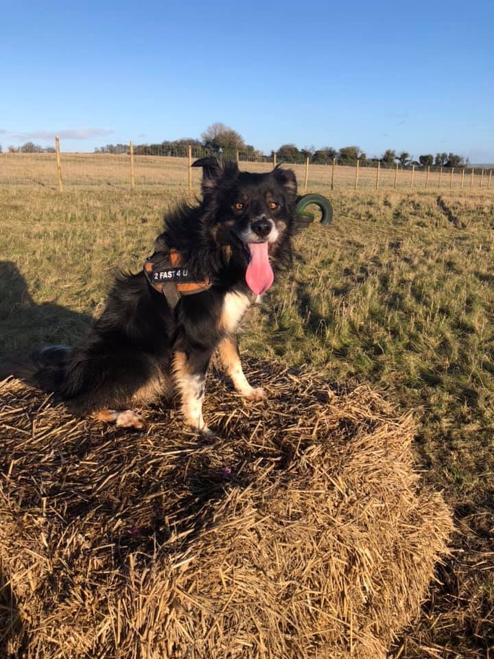 1775 168de73e500e06cedf015d622643914b 1