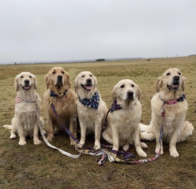 1775 46a8c5f99bacaa217a3435e284b80a3e 1