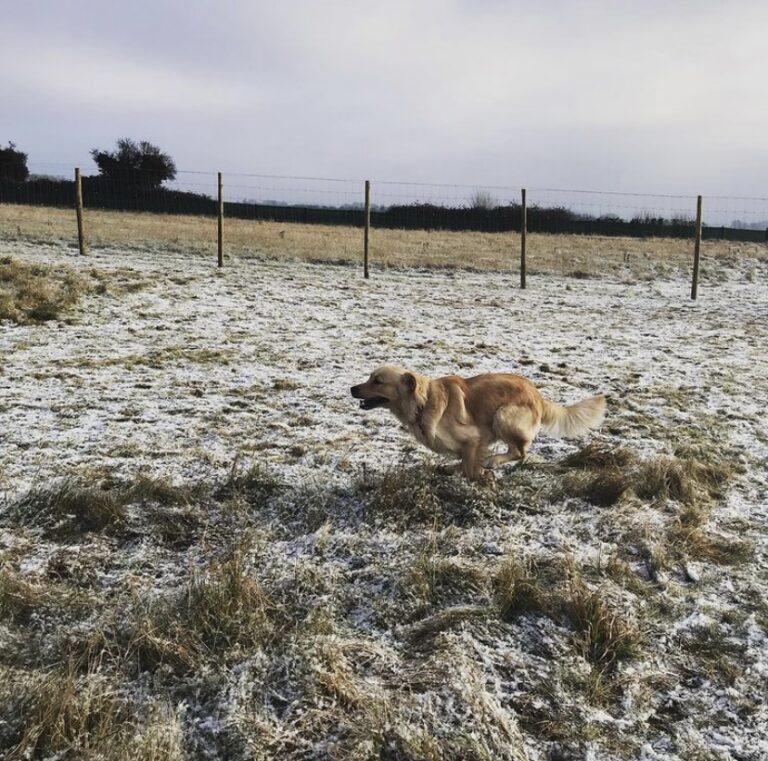 1775 65c3d1c4fa5ec2e7d88080db30bb0d3f 1 768x761