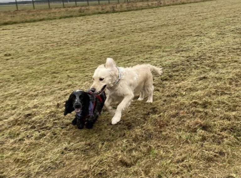 1775 7c2a90d7b2baa61c258260c5432cc1ca 1 768x567