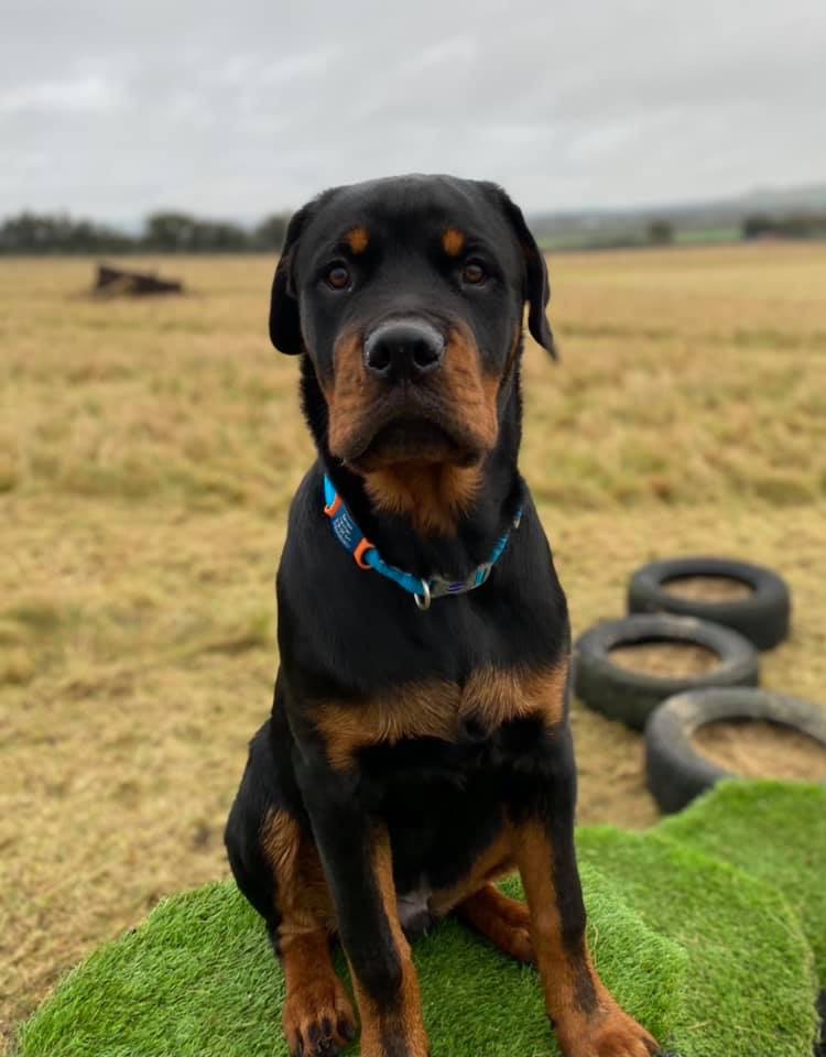 1775 bce1d4c575d17f99b35cf3f538416a71 1