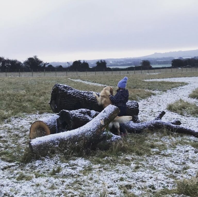 1775 c43f2984e94cab9d1e744da71bc994ed 1 768x765