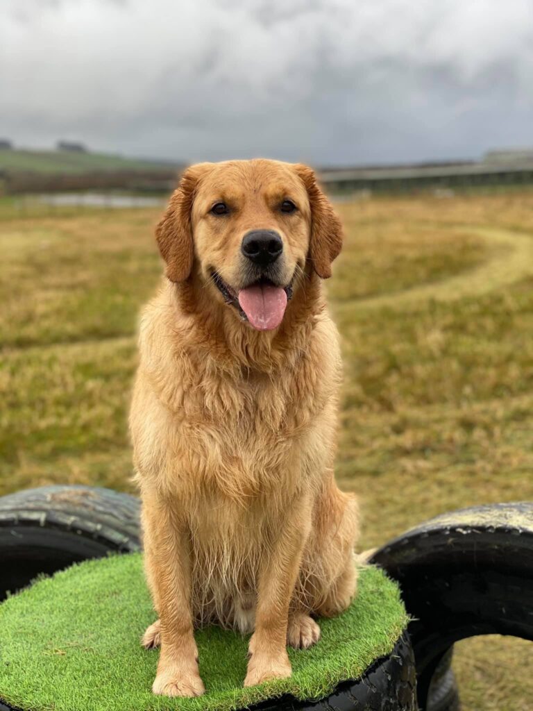 1775 d5259cd615180a8fb6e6647618a039ad 1 768x1024