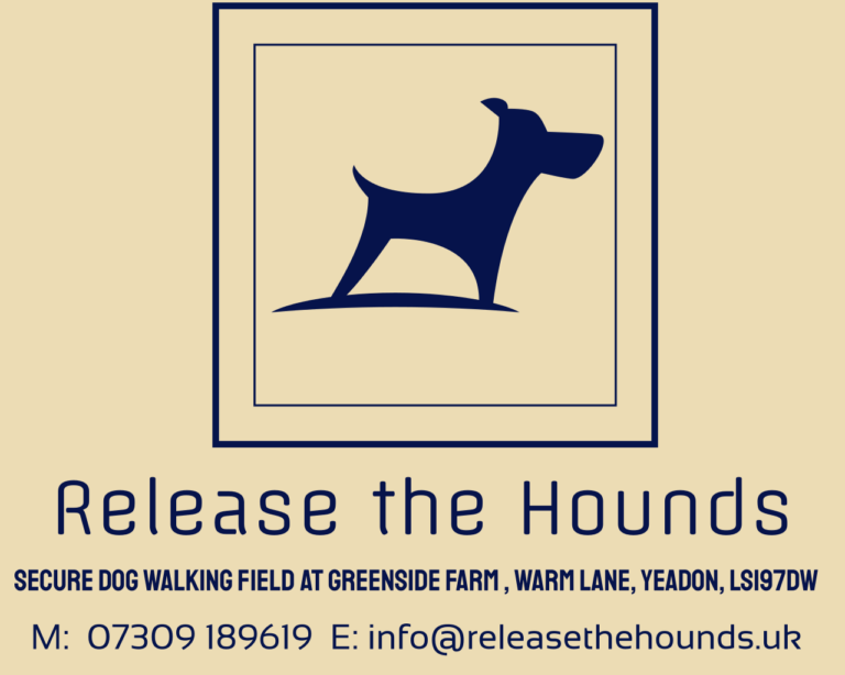 1776 6a3762afbb9b1a69f97e4d0b02182cf2 1 768x614