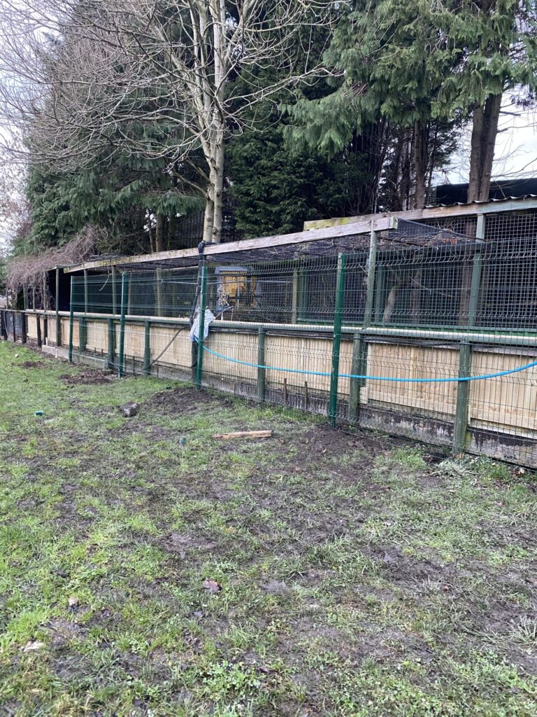 1776 89888eabf7a5cfd00aab29db17a9c8f5 1 768x1024