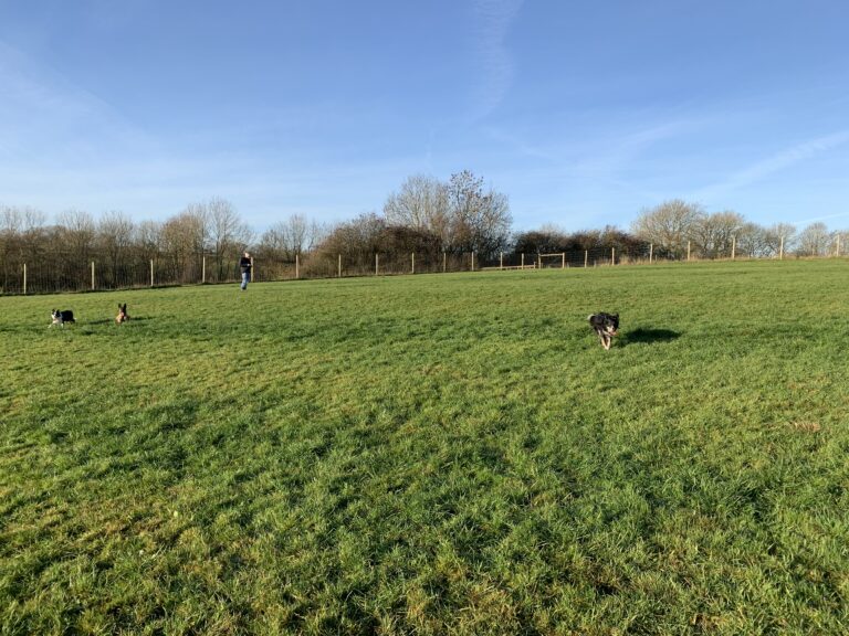 1780 1753a45e985c1cdf3580a671574cfc77 1 768x576