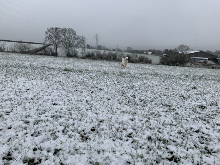 1780 2257d9fcba1b23cf73fdff8f017fca16 1 768x576