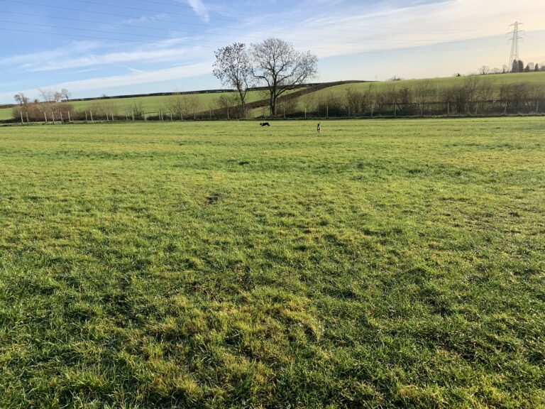 1780 2791f06fa2dbd38f6b7a1f9b2ddaa376 1 768x576