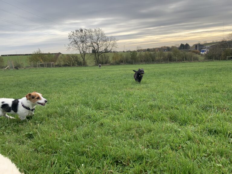 1780 29d05fa5c7dd315437f329d6f51414d7 1 768x576