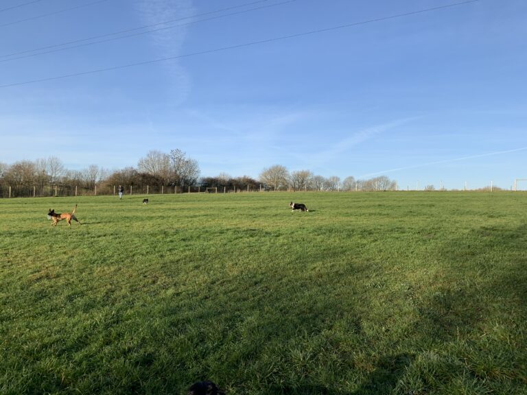 1780 3d9f236ca7184abc25e27eb3f79fc371 1 768x576